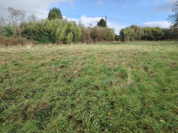 Terrain à PERIERS, 50190 - 2560m²