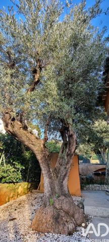 Maison à vendre 6 pièces 106 m² Toulon