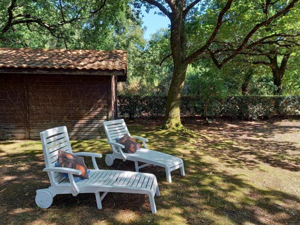 Location de vacances                                                      Maison
                        
                     4 pièces                      110 m2                     à Mimizan