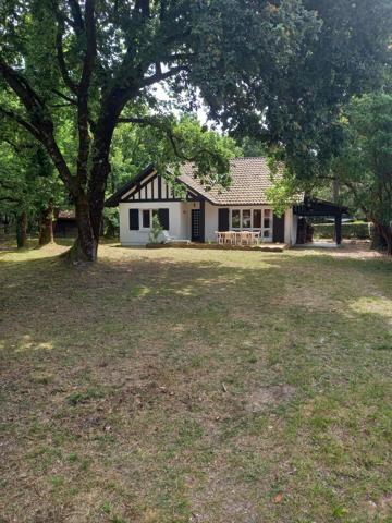 Location de vacances                                                      Maison
                        
                     4 pièces                      110 m2                     à Mimizan