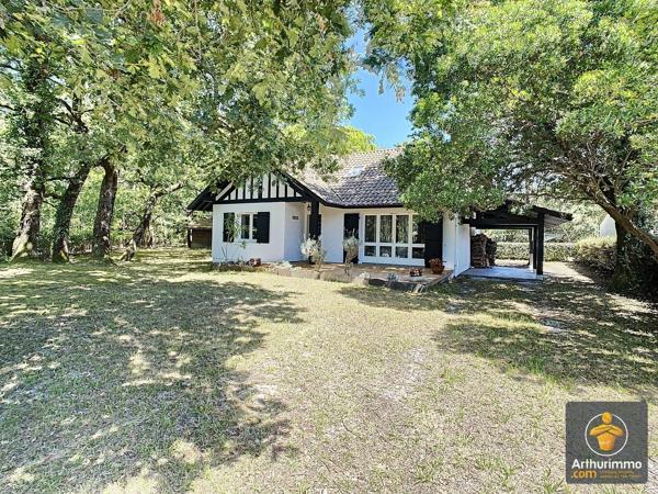 Location de vacances                                                      Maison
                        
                     4 pièces                      110 m2                     à Mimizan