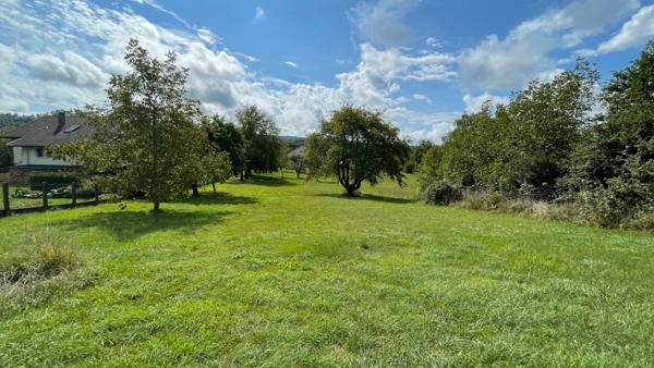 MAISON SPACIEUSE TRADITIONNELLE  7 PIECES 3000 M² TERRAIN DASLES 25230