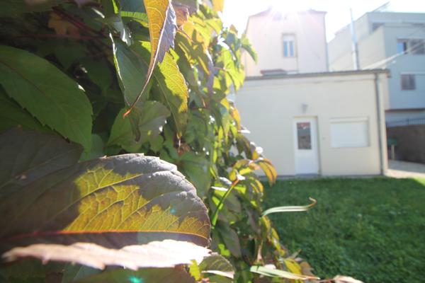 Rez de jardin
                                                                                                                                                                                                                                                                                                                        2 pièce(s)                                                                                                                                                                                                          1 chambre(s)                                                                                                                                                                                                          34  m²