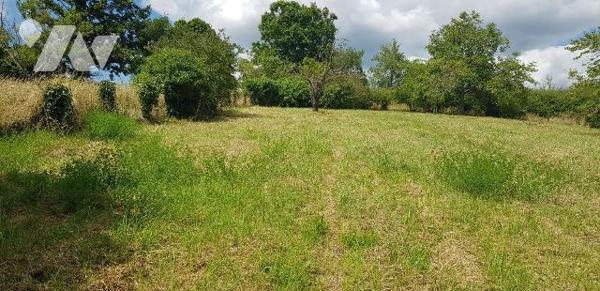 A VENDRE - A MENNETOU SUR CHER (41) - Une maison d'habitation édifiée sur sous-sol d'une surfac...