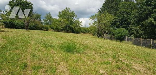 A VENDRE - A MENNETOU SUR CHER (41) - Une maison d'habitation édifiée sur sous-sol d'une surfac...