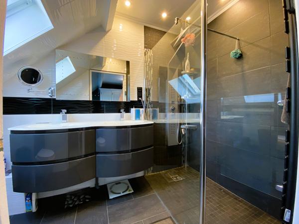 Courtenay (45320) Propriété de standing