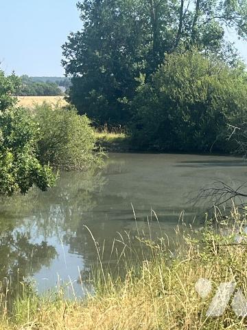 Etang à Parçay sur Vienne 