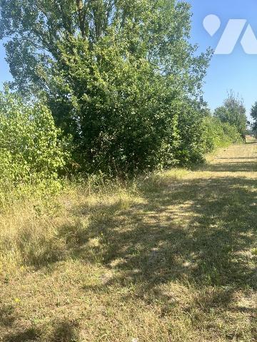 Etang à Parçay sur Vienne 