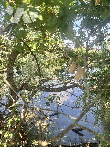 Etang à Parçay sur Vienne 