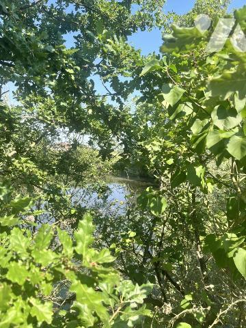 Etang à Parçay sur Vienne 