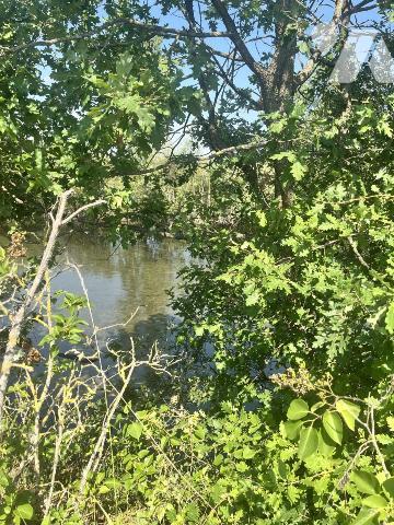 Etang à Parçay sur Vienne 
