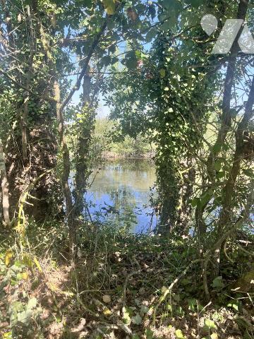 Etang à Parçay sur Vienne 