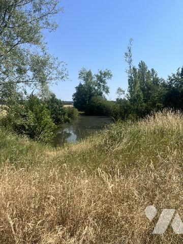 Etang à Parçay sur Vienne 