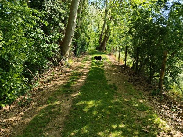 🌟 Domaine d'Exception à Aire-sur-l’Adour : Un Écrin de Nature en Plein Cœur de Ville