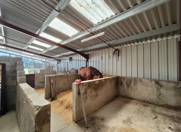 🌟 Domaine d'Exception à Aire-sur-l’Adour : Un Écrin de Nature en Plein Cœur de Ville
