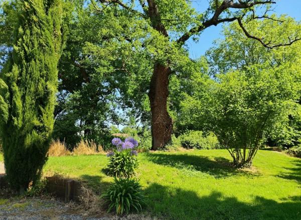 🌟 Domaine d'Exception à Aire-sur-l’Adour : Un Écrin de Nature en Plein Cœur de Ville