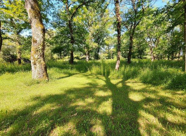 🌟 Domaine d'Exception à Aire-sur-l’Adour : Un Écrin de Nature en Plein Cœur de Ville