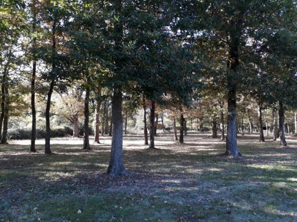 À proximité immédiate du cœur de la ville, cette demeure occupe environ 3 hectares.