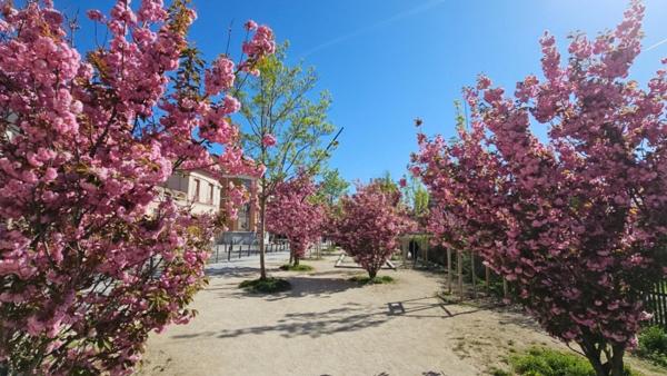 STUDIO EN PARFAIT ETAT EN PLEIN CENTRE DES LILAS