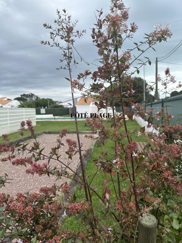 Saint-Palais-sur-Mer (17420) MAISON/VILLA T2 RÉSIDENCE AVEC PISCINE - SAINT PALAIS /MER - PLATIN - Au prix de 201.400 € HAI