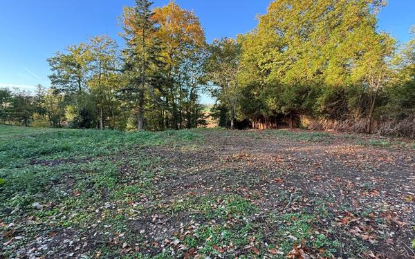 Terrain à vendre    La Trinité