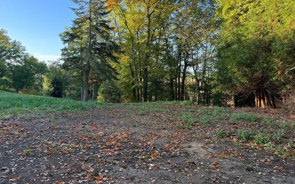 Terrain à vendre    La Trinité