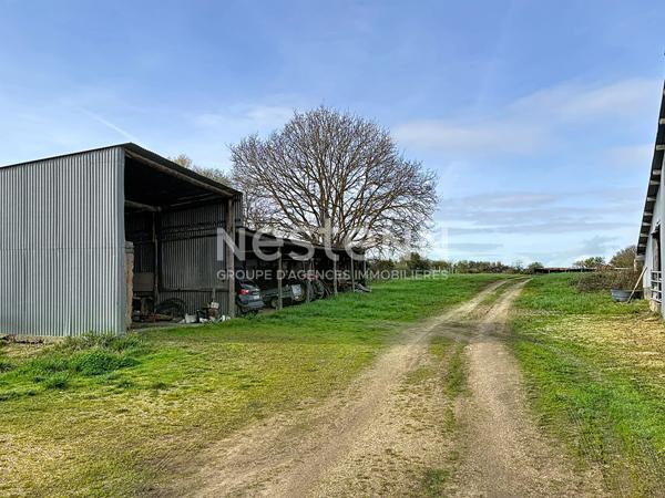 Maison longère de plain-pied au calme ? combles aménageables et dépendances - Secteur de Querré