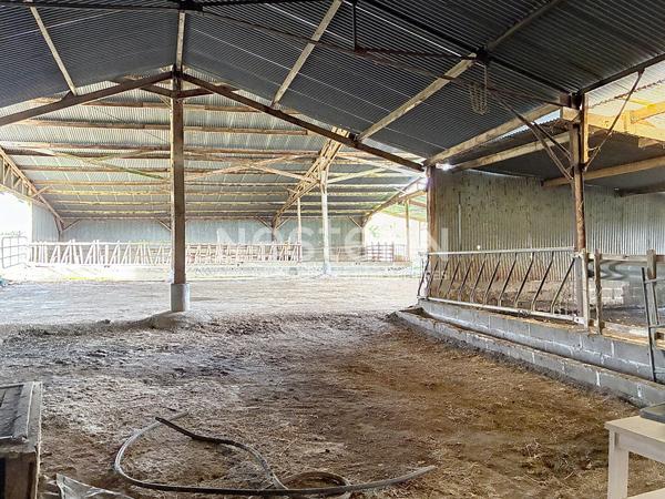 Maison longère de plain-pied au calme ? combles aménageables et dépendances - Secteur de Querré