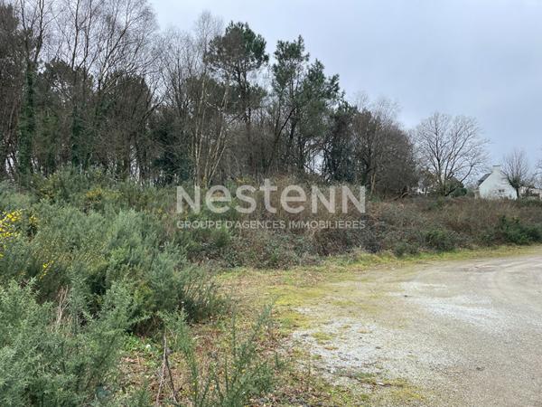 Terrain à bâtir Monterblanc / Bretagne Sud / Morbihan