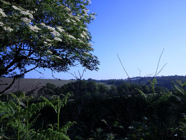 Maison à vendre à Landeleau (29530) - Finistère