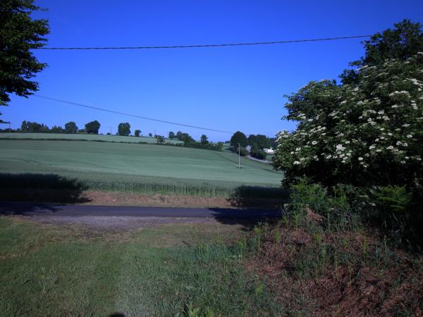 Maison à vendre à Landeleau (29530) - Finistère