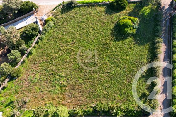 Terrain à vendre  2027 m2 CORBARA - 202