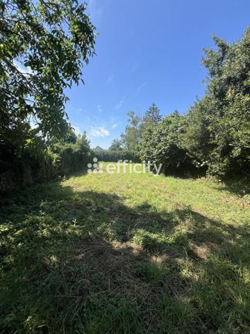 Maison 6 pièces - 153 m²