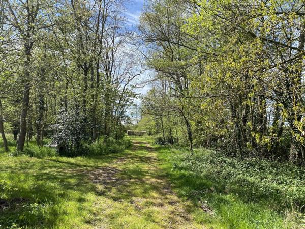 Proche Verneuil sur Avre, Terrain de 44010 m2 env avec un étang