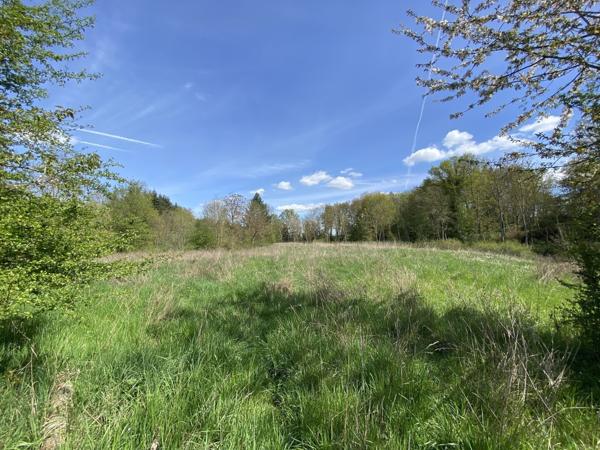 Proche Verneuil sur Avre, Terrain de 44010 m2 env avec un étang