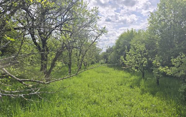 PRÉCIGNÉ – Terrain de loisirs / verger de plus de 1 800 m²