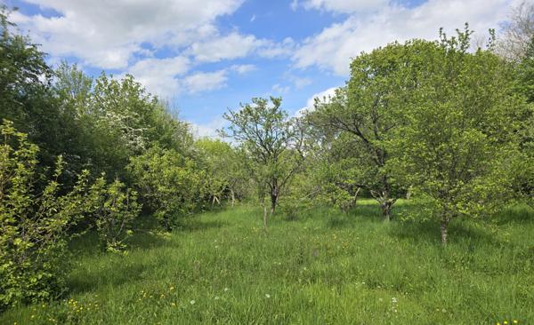 PRÉCIGNÉ – Terrain de loisirs / verger de plus de 1 800 m²