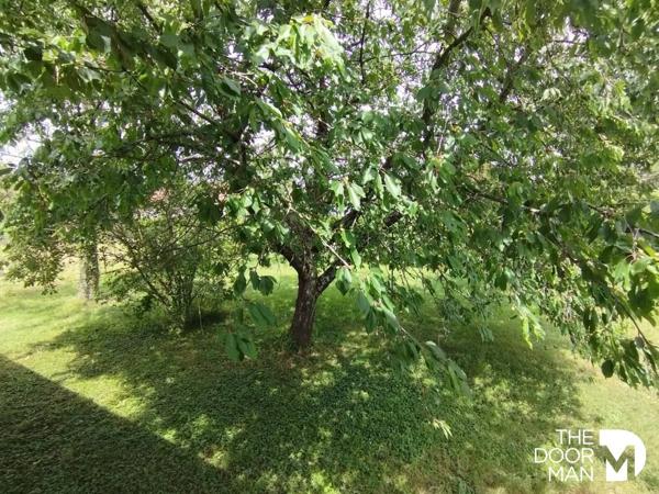 Maison - Vendu - 75 m² - SAINT-FLORENT-SUR-CHER | The Door Man