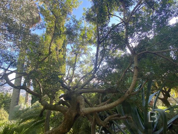 EXCLUSIVITE - Maison d’artiste Art-Déco florentin à Grasse – Quartier Rothschild