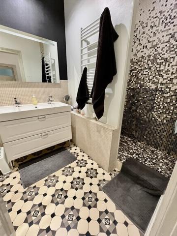 Appartement rue Piétonne Lille Centre