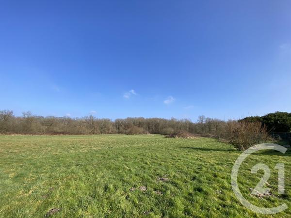 Maison à vendre  7 pièces - 397,61 m2 CHATEAUNEUF SUR LOIRE - 45