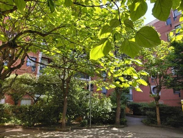 Appartement à louer à Cergy (95000)