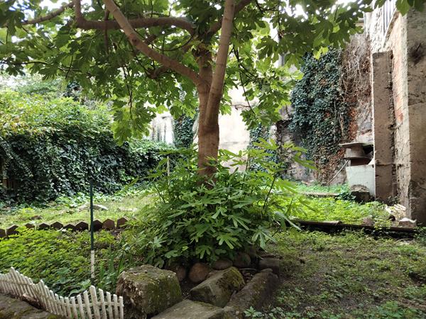 Appartement La Voulte Sur Rhône 2 pièce(s) 55 m2 avec terrain attenant