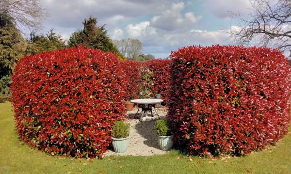 Maison 3 chambres en campagne avec grand terrain