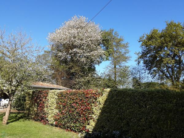 Maison 3 chambres en campagne avec grand terrain