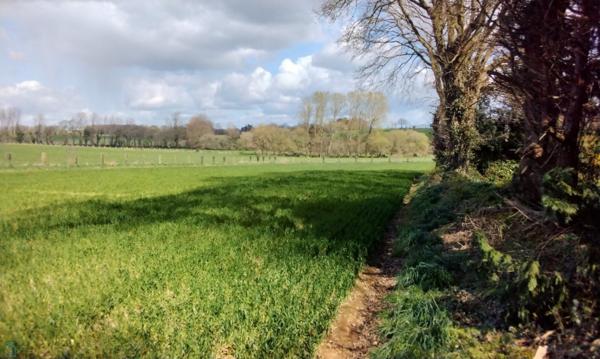 Maison 3 chambres en campagne avec grand terrain