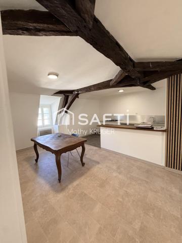 Appartement rénové au cœur de Bergerac