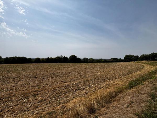 Varennes Vauzelles : SuperbeTerrain à bâtir avec vue dégagée 7339 m2