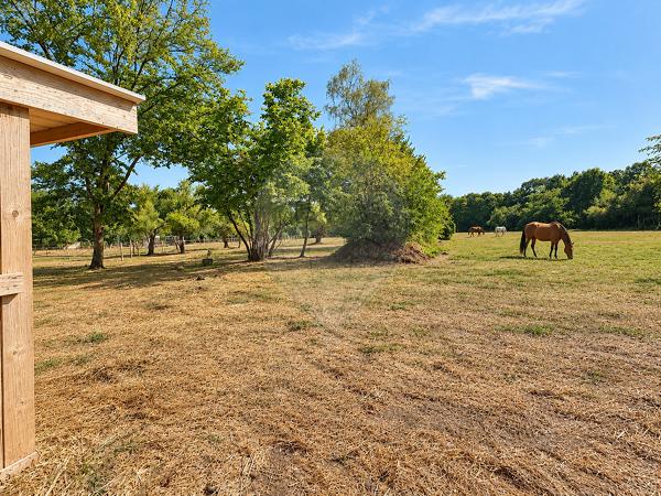 Maison 7 chambre(s) à vendre - Chantilly, Oise - 60