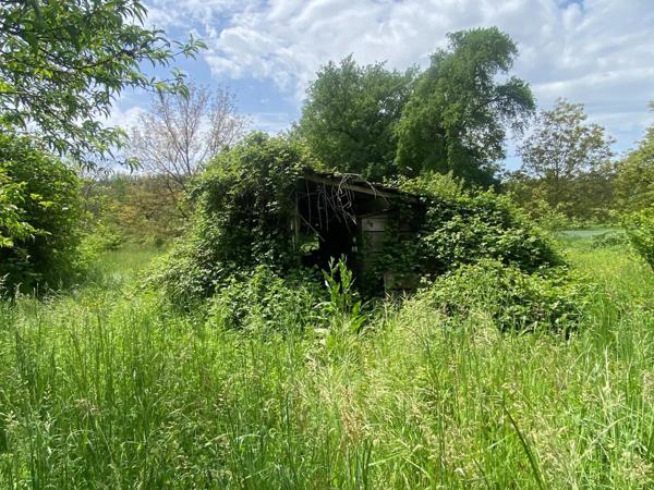 terrain fertile au bord du Lot, permaculture